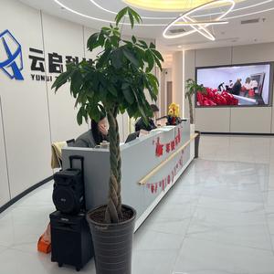 云启科技-广告代运营服务商